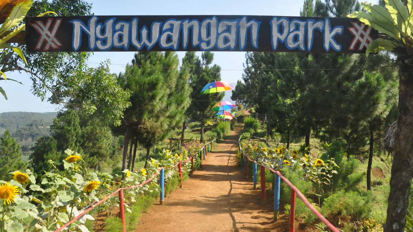 Pesona Nyawangan Park dan Rute Menuju ke Sana