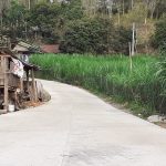 Pembangunan Insfrastruktur Jalan di Desa Nyawangan
